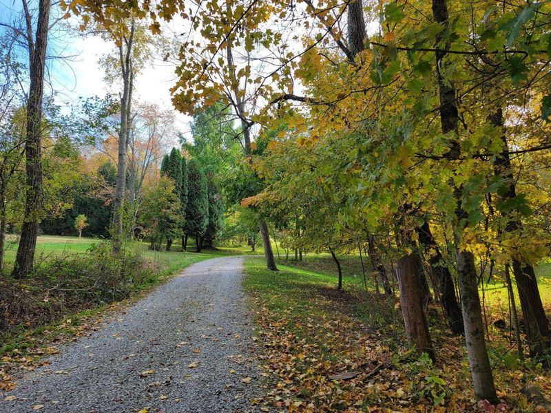 5095 Township Rd 398A, Somerset, OH 43783 Photo 72