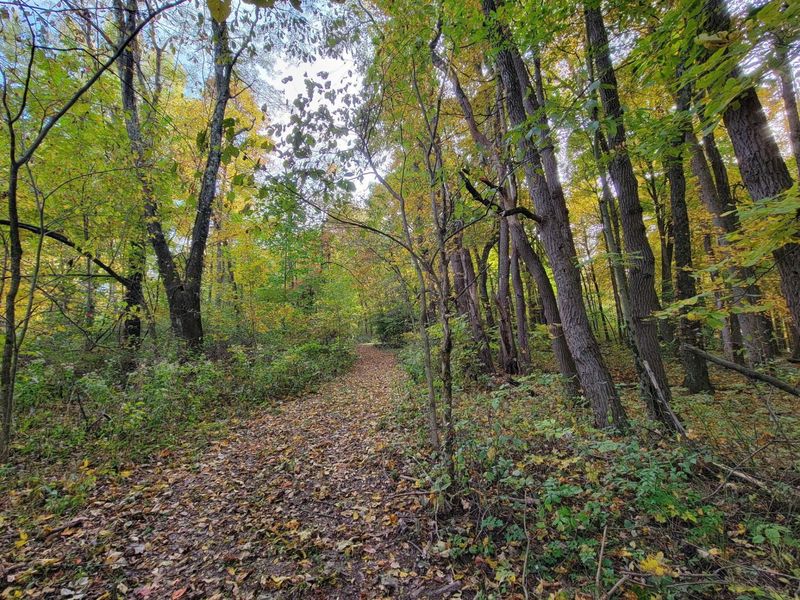 5095 Township Rd 398A, Somerset, OH 43783 Photo 73