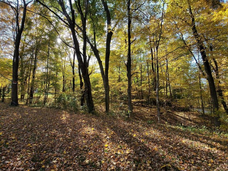 5095 Township Rd 398A, Somerset, OH 43783 Photo 74