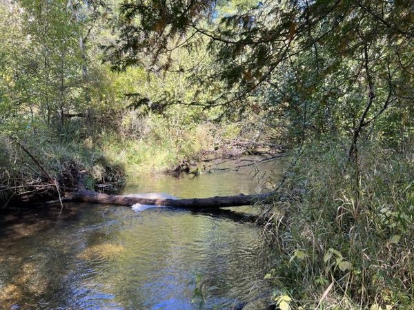 VL E Alpine, Luther, MI 49656