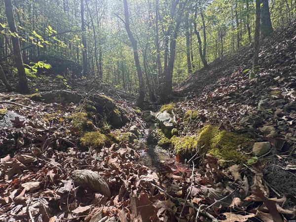 145 CREPE MYRTLE Trail, Hot Springs, AR 71909