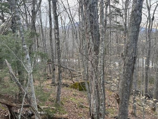 Lot 8 Barrows Towne Road, Killington, VT 05751