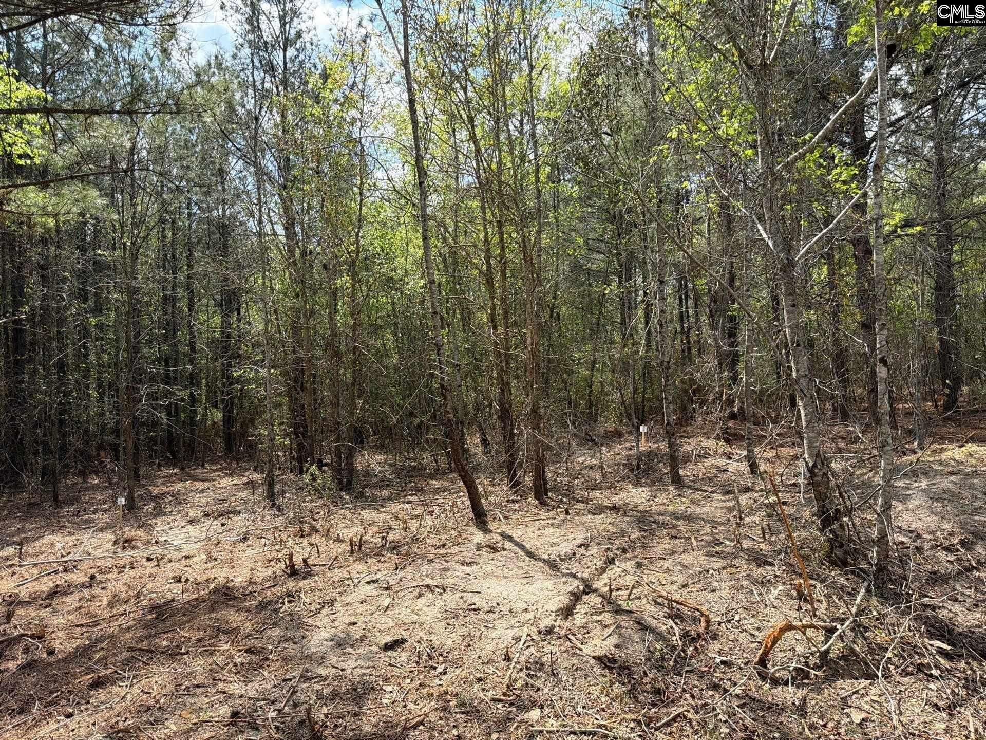 Cva 2 Mt. Calvary Road Photo 13