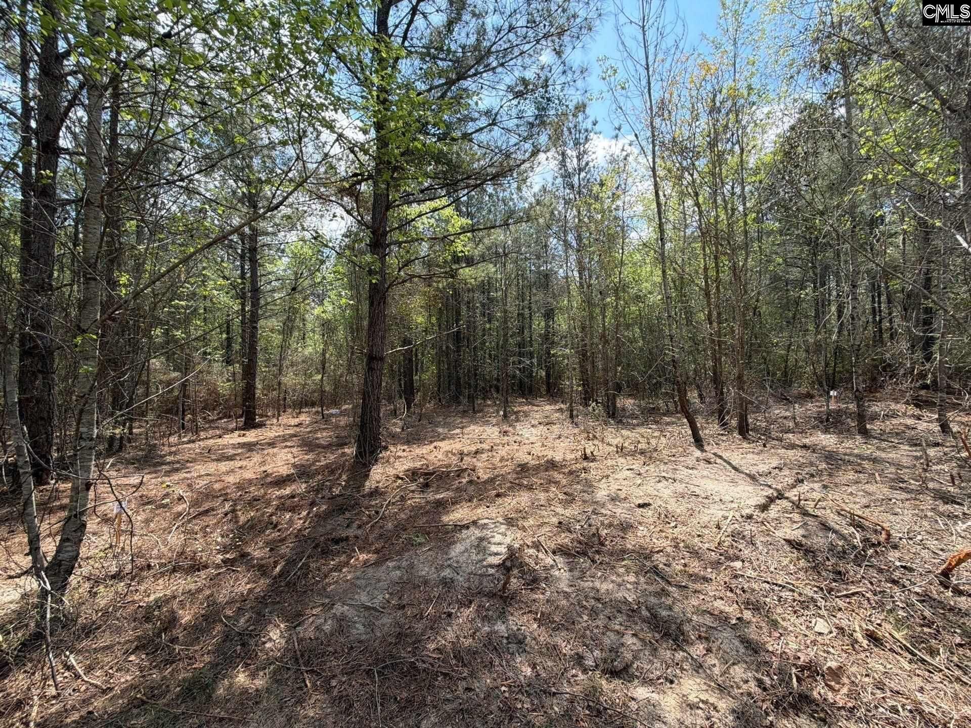 Cva 2 Mt. Calvary Road Photo 14