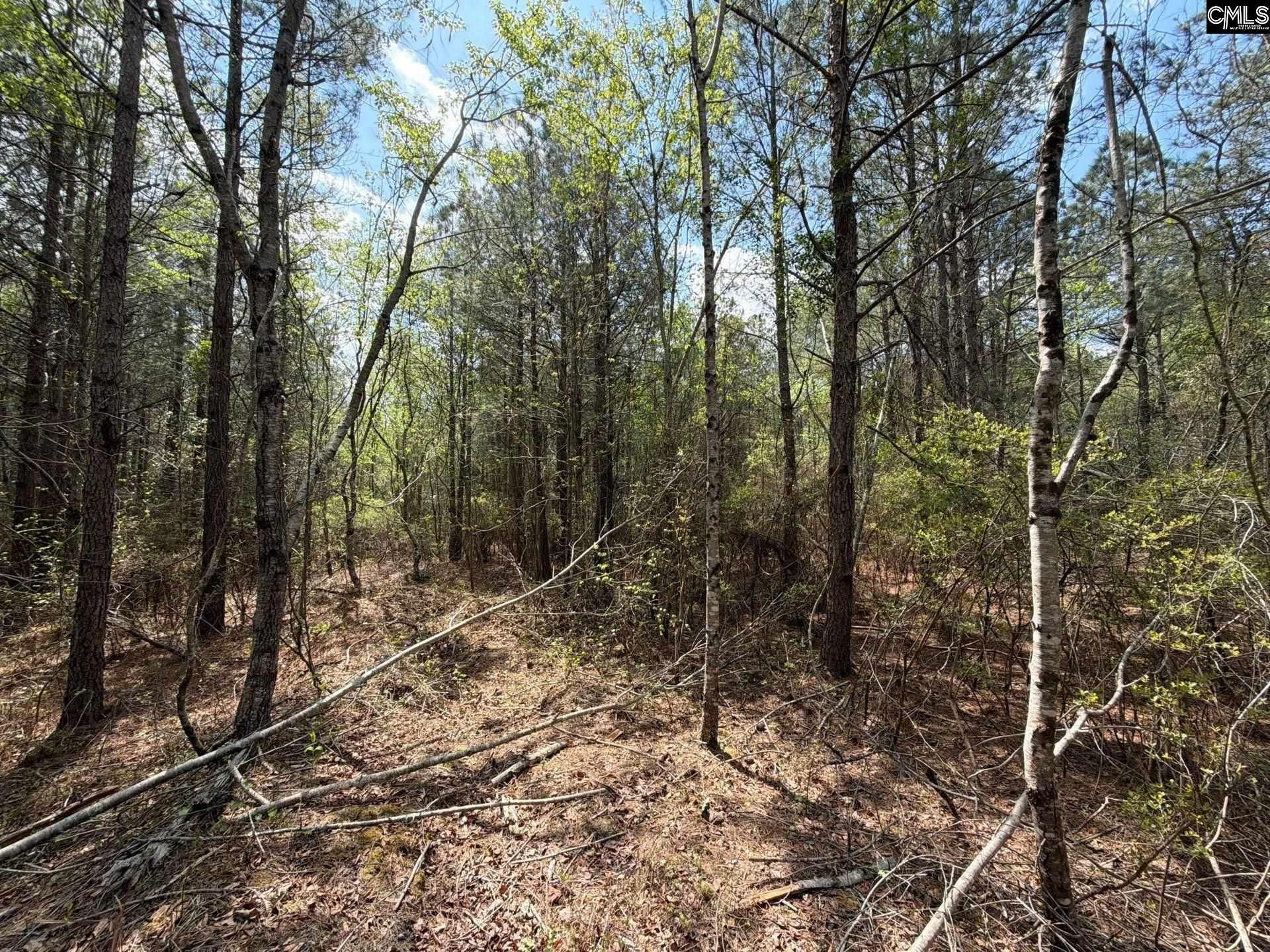 Cva 2 Mt. Calvary Road Photo 15