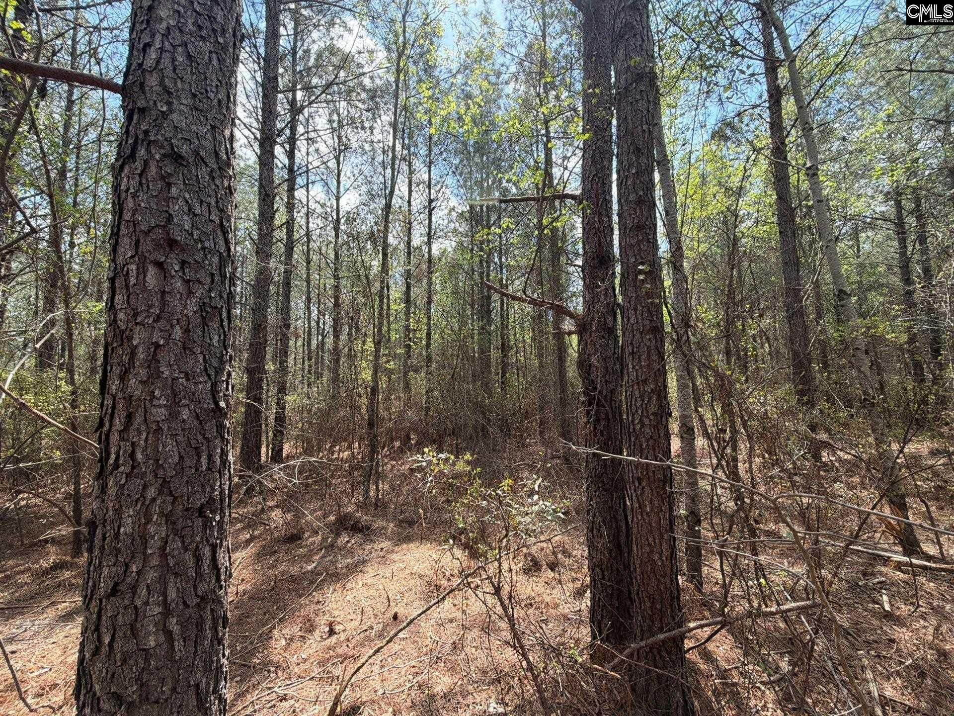 Cva 2 Mt. Calvary Road Photo 16