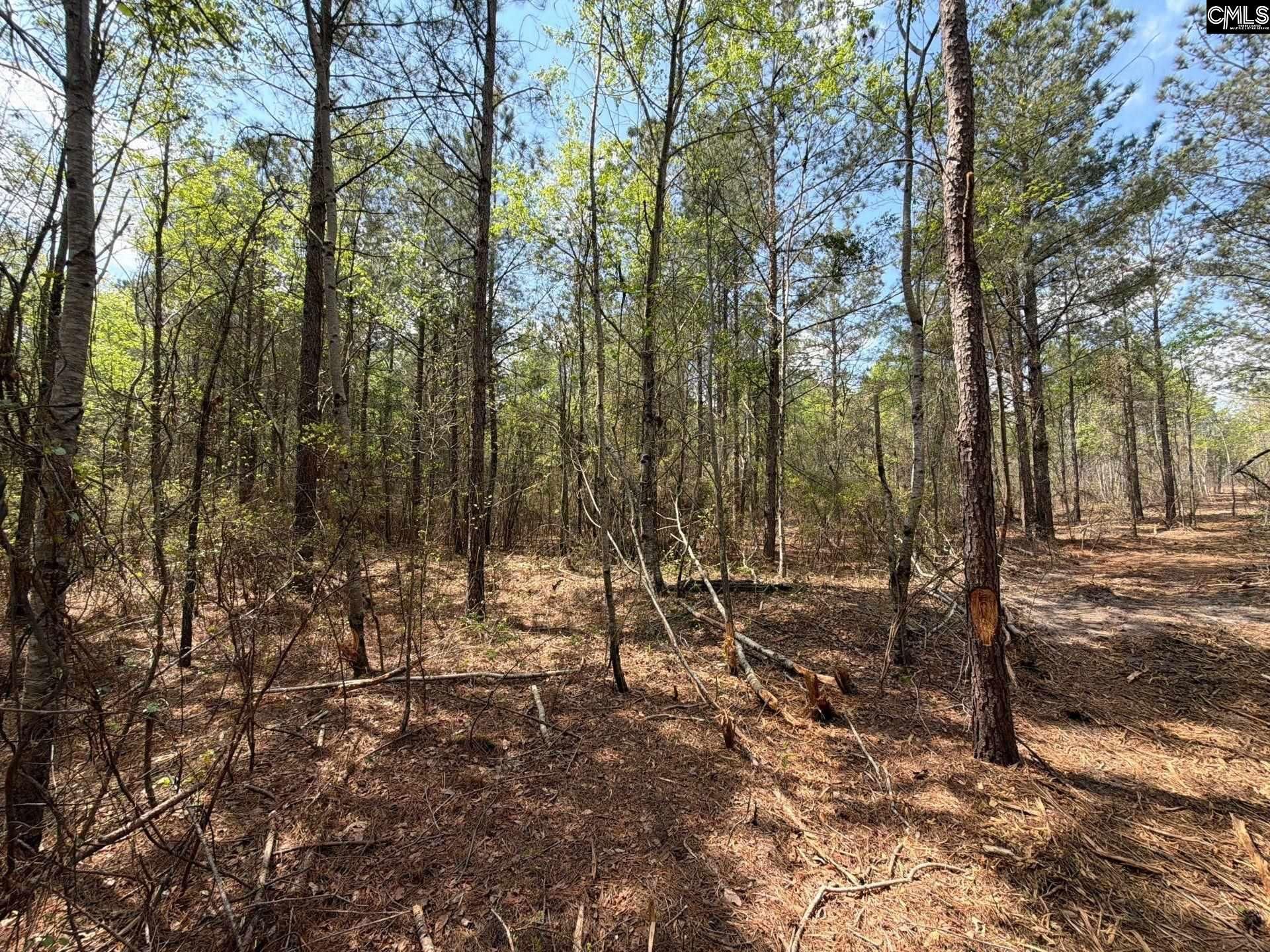 Cva 2 Mt. Calvary Road Photo 17