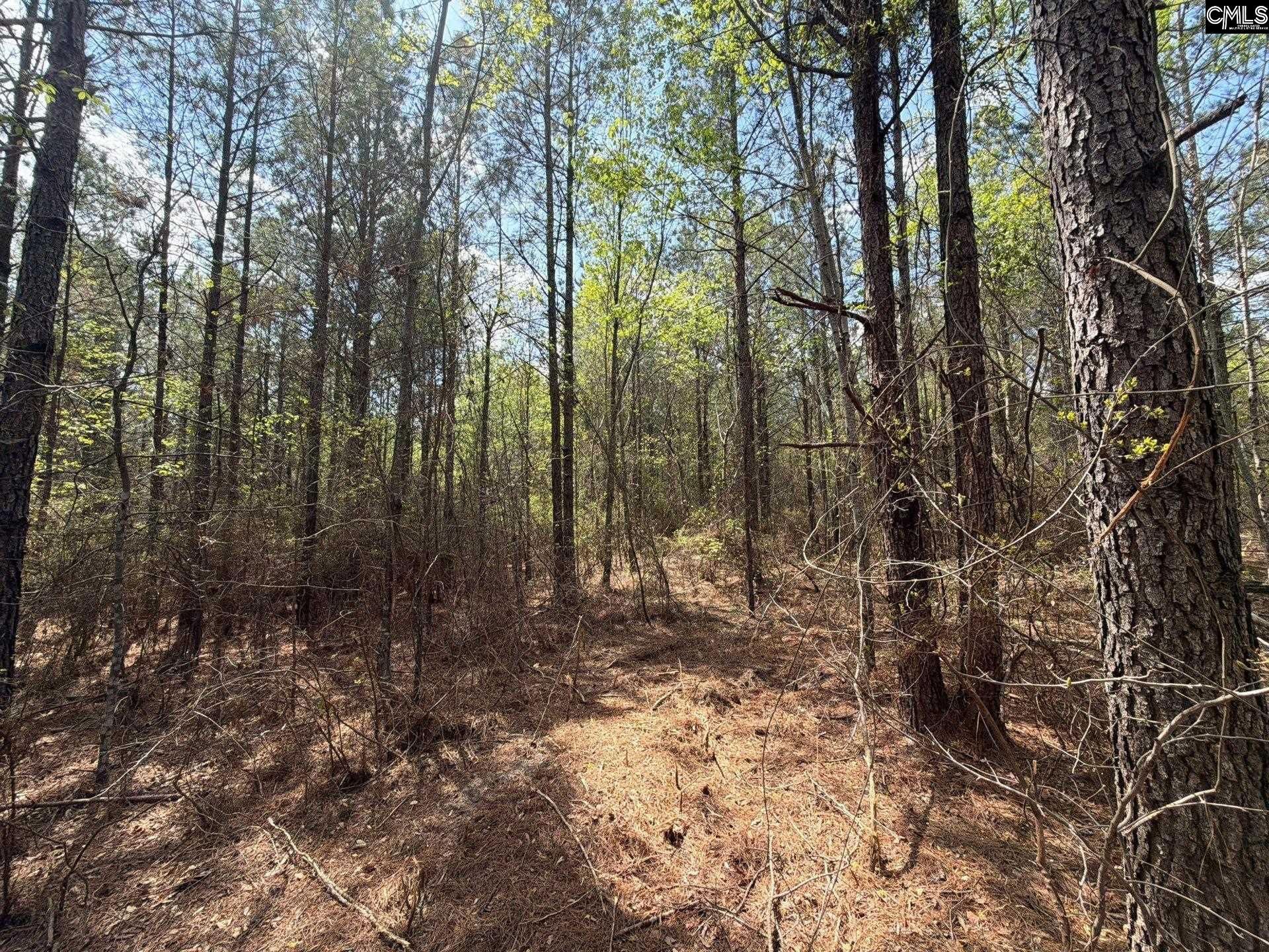 Cva 2 Mt. Calvary Road Photo 18