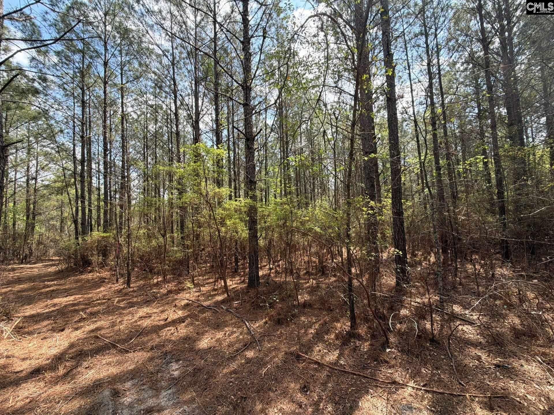 Cva 2 Mt. Calvary Road Photo 19