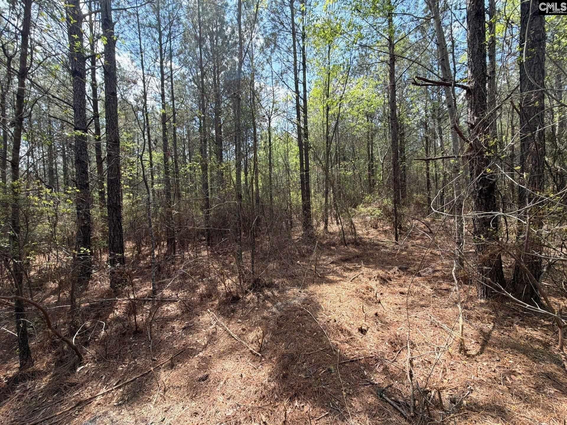 Cva 2 Mt. Calvary Road Photo 20