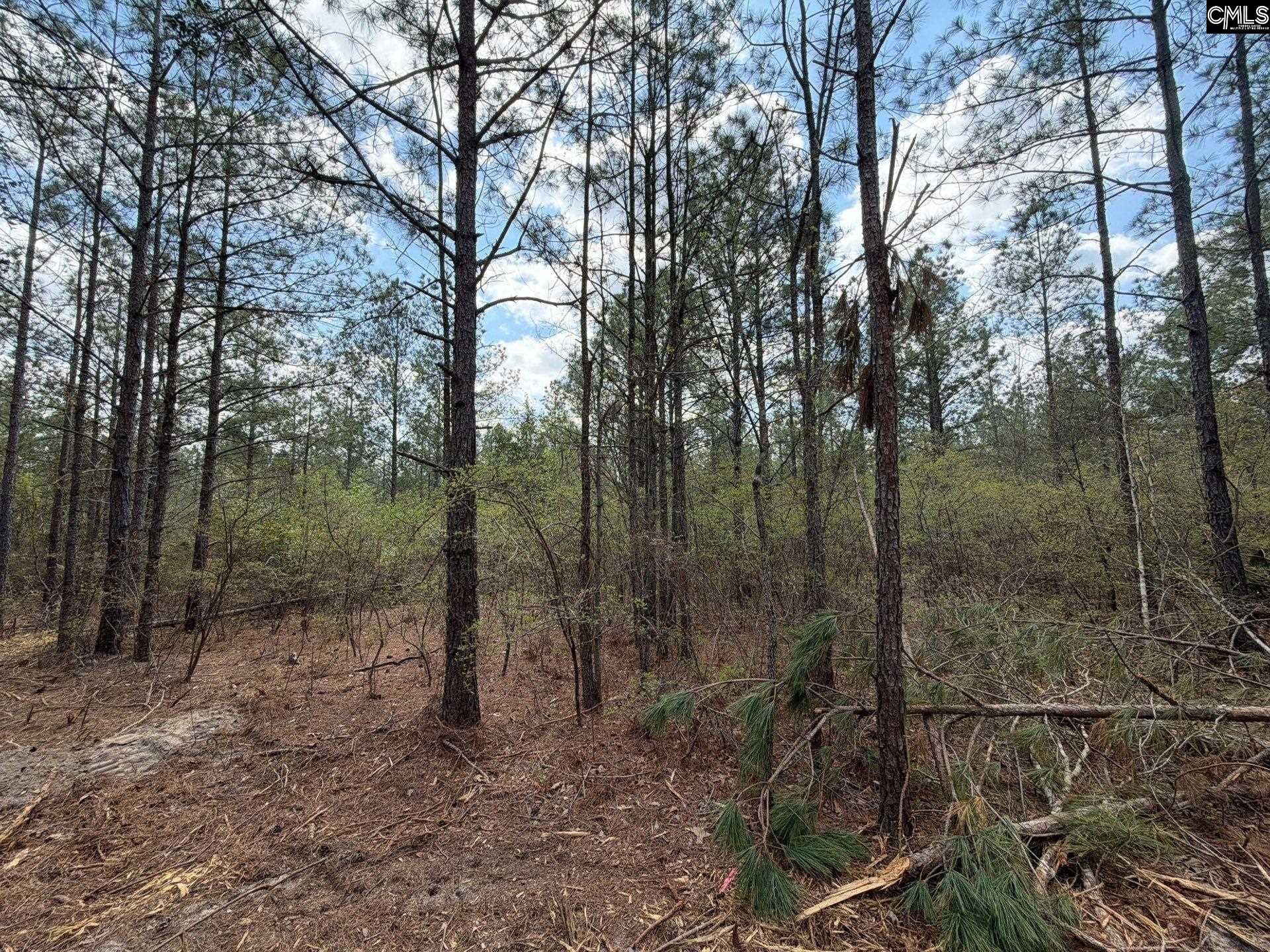 Cva 2 Mt. Calvary Road Photo 21