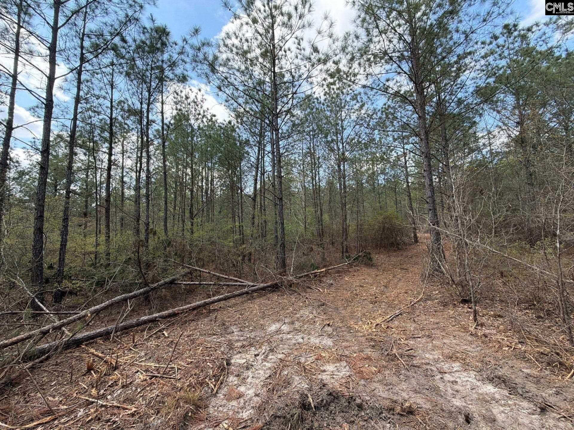 Cva 2 Mt. Calvary Road Photo 22