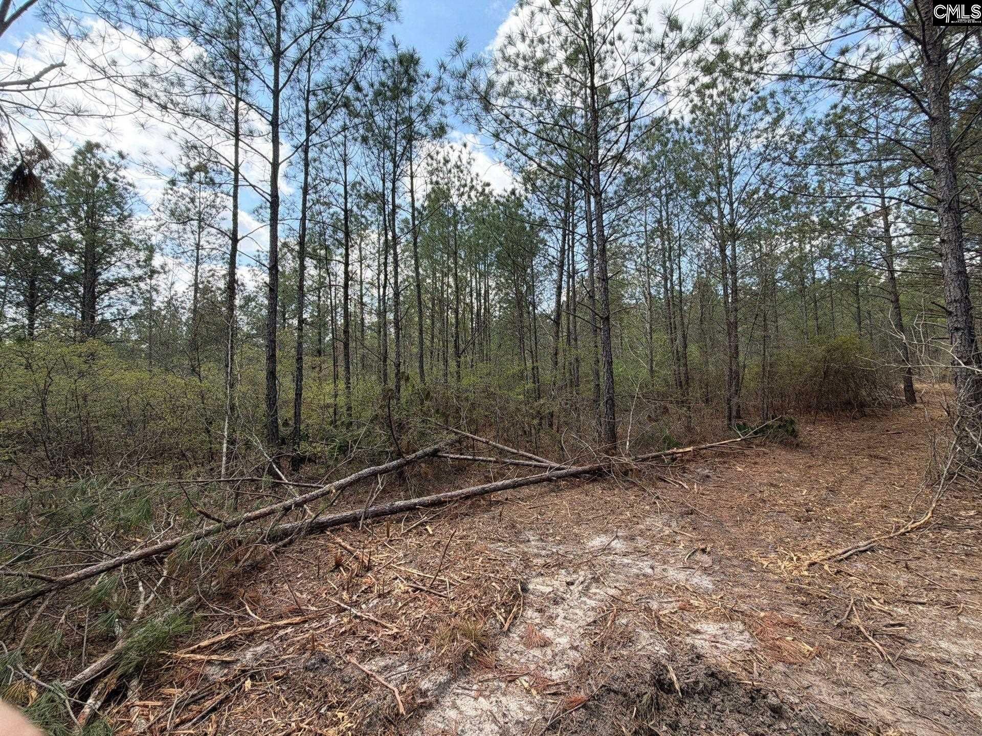 Cva 2 Mt. Calvary Road Photo 23