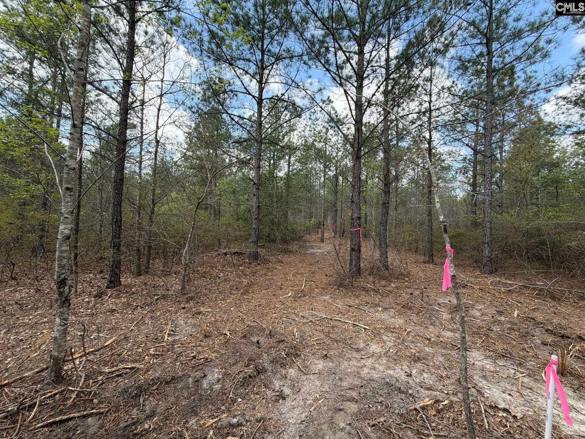 Cva 2 Mt. Calvary Road Photo 25