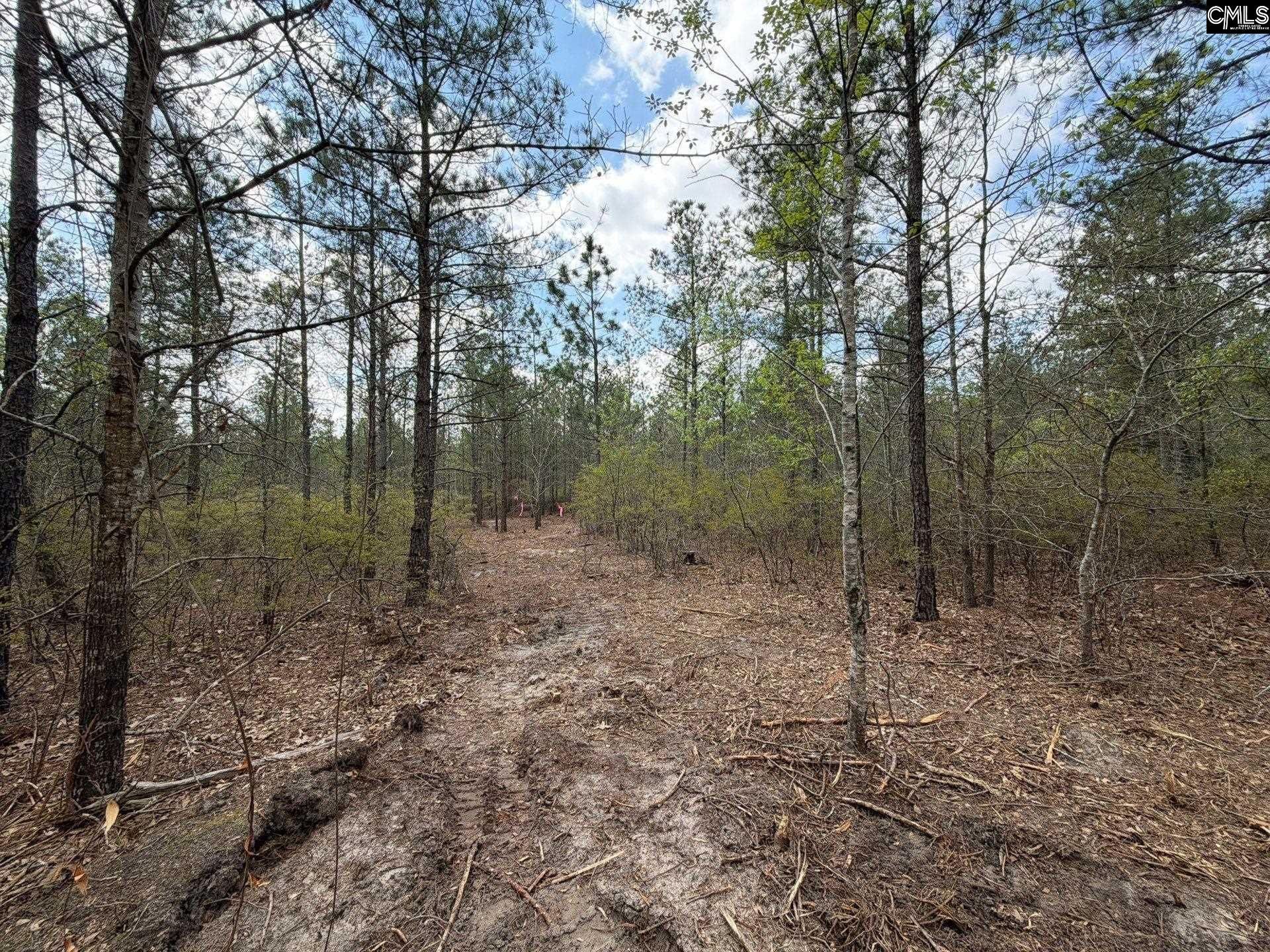 Cva 2 Mt. Calvary Road Photo 26