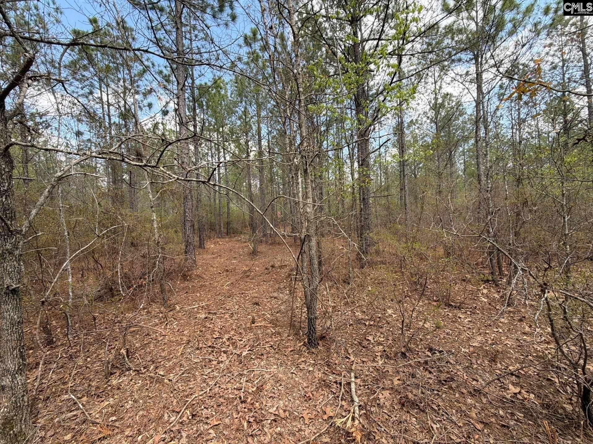 Cva 2 Mt. Calvary Road Photo 27