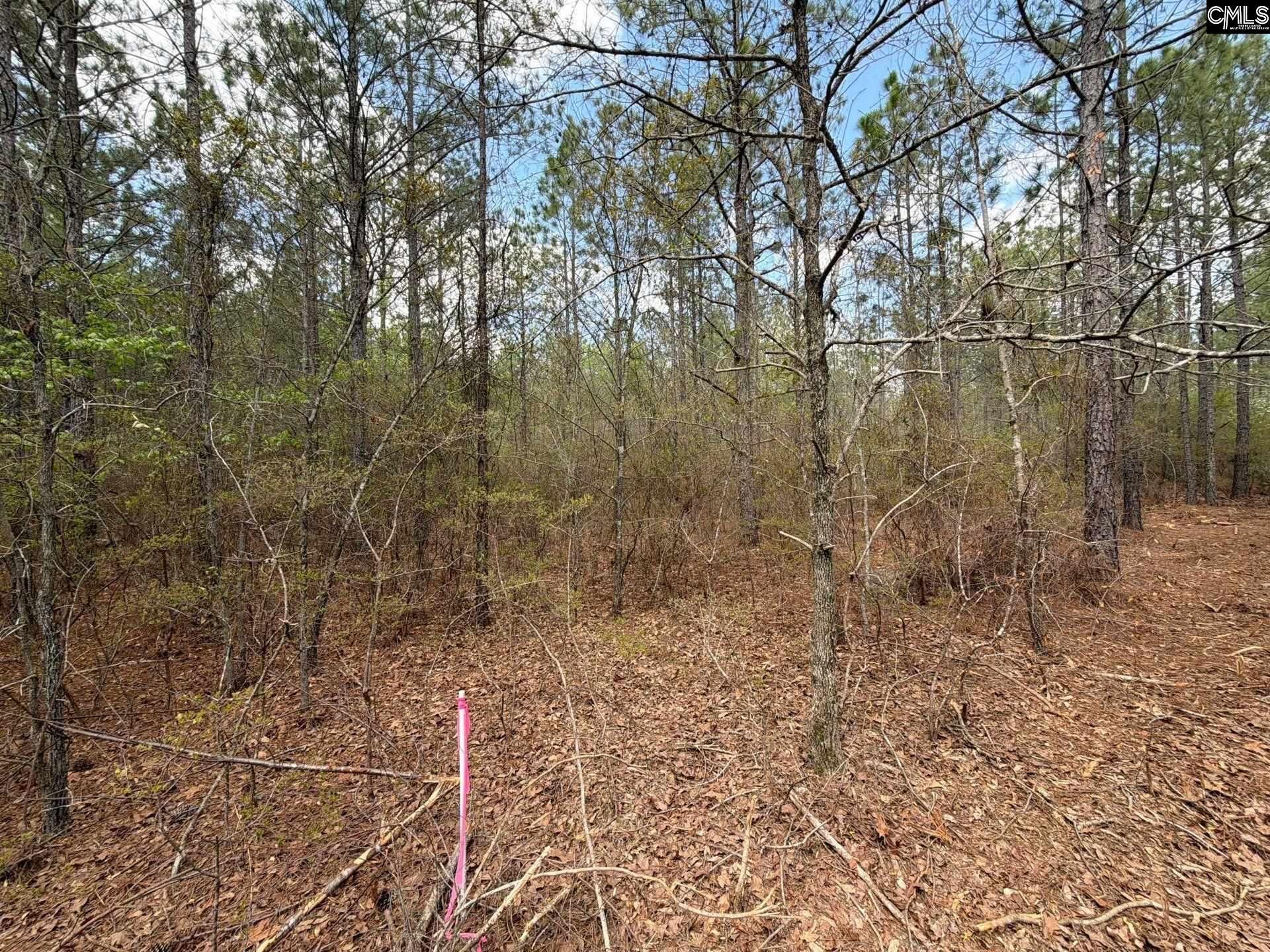 Cva 2 Mt. Calvary Road Photo 28