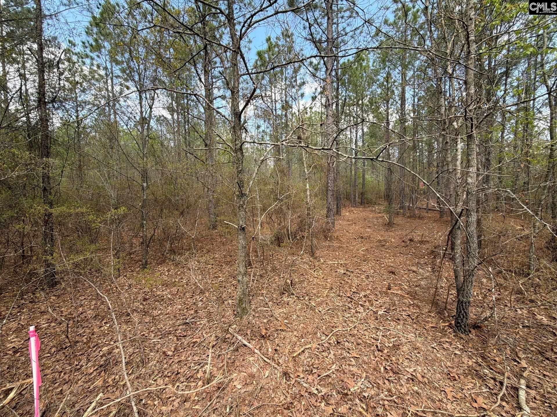 Cva 2 Mt. Calvary Road Photo 29