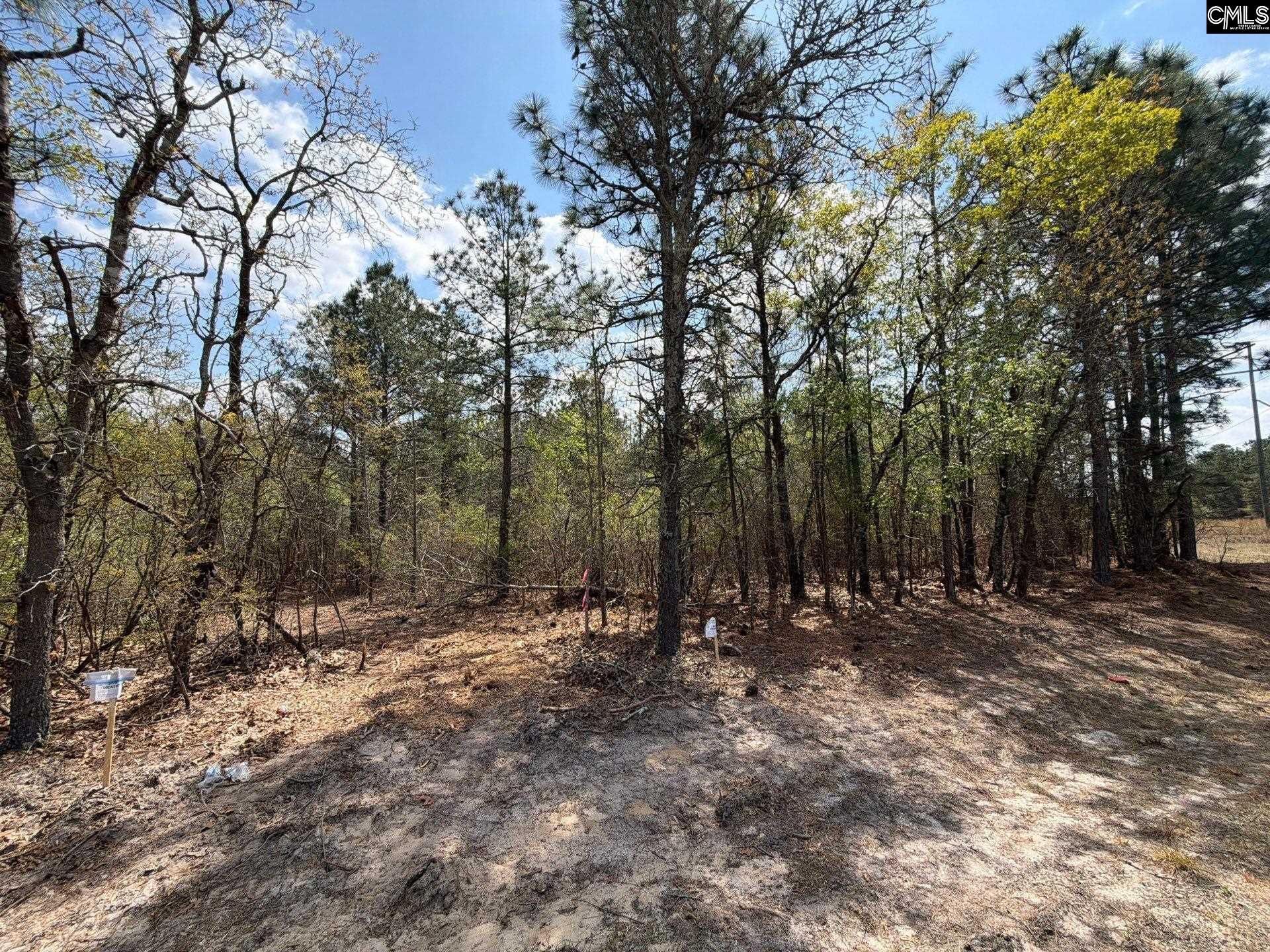 Cva 2 Mt. Calvary Road Photo 9