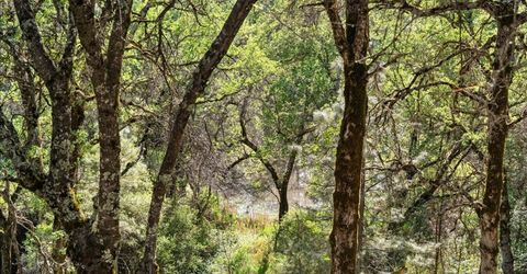 18706 Shirley Ln, Grass Valley, CA 95949 Photo