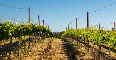 2385 Bald Hill Rd, Auburn, CA 95603 Photo