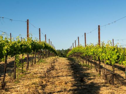 2385 Bald Hill Rd, Auburn, CA 95603 Photo