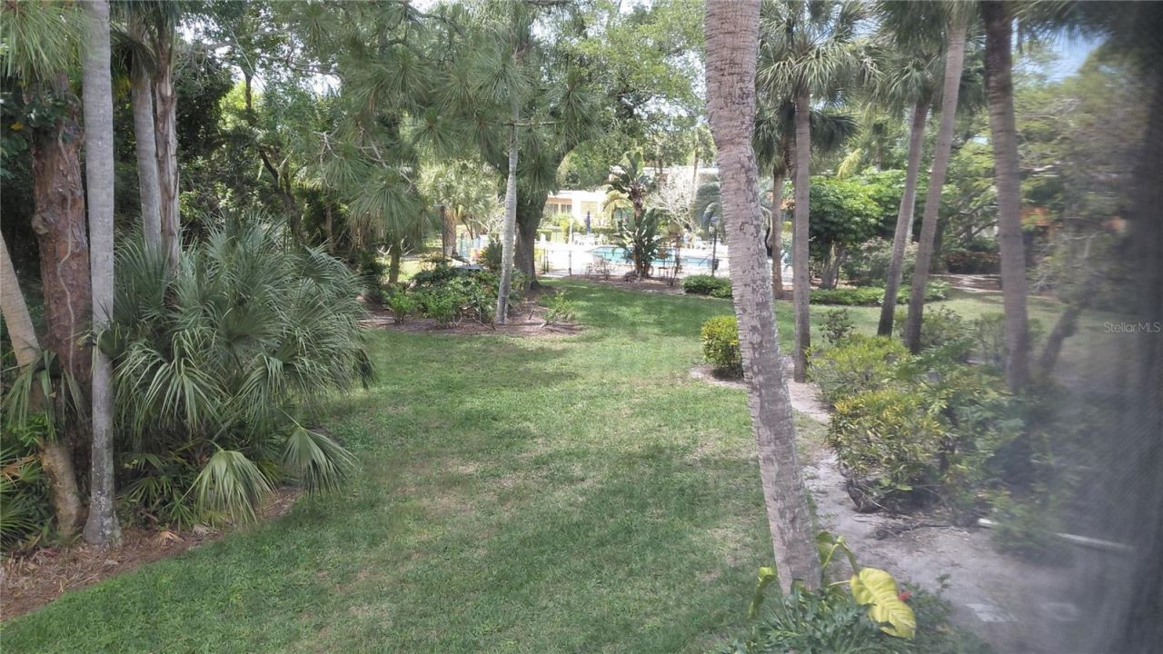 146 Wild Palm Dr, Unit 146, Bradenton, FL 34210 Photo