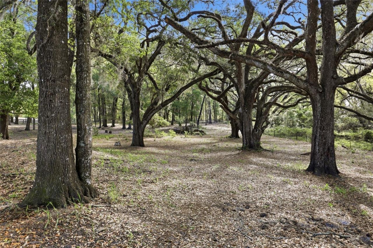 9733 SW 104th Lane , Gainesville, FL 32608 Photo