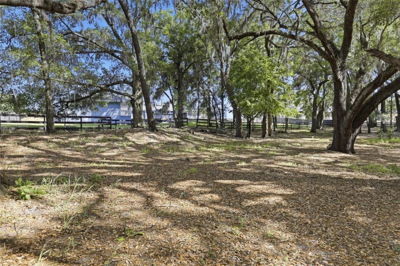 9733 SW 104th Lane , Gainesville, FL 32608 Photo