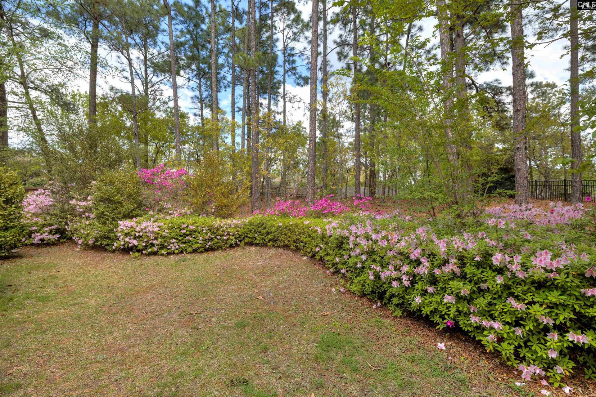 91 Old Still Road Photo 45