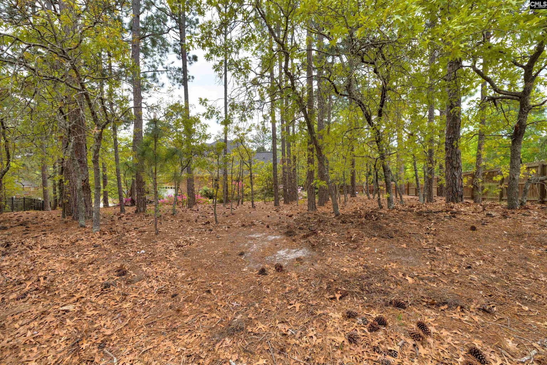 91 Old Still Road Photo 46