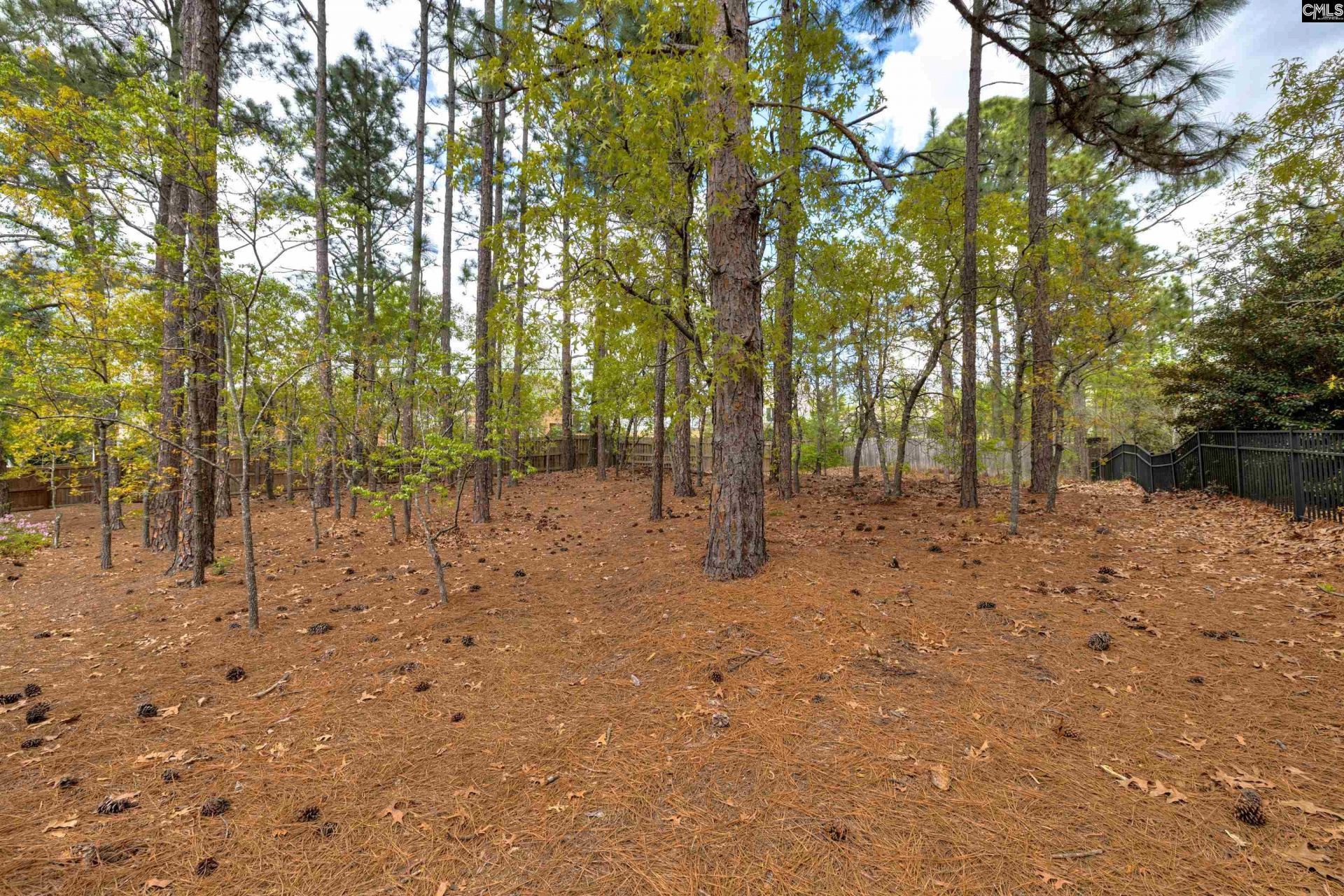 91 Old Still Road Photo 47