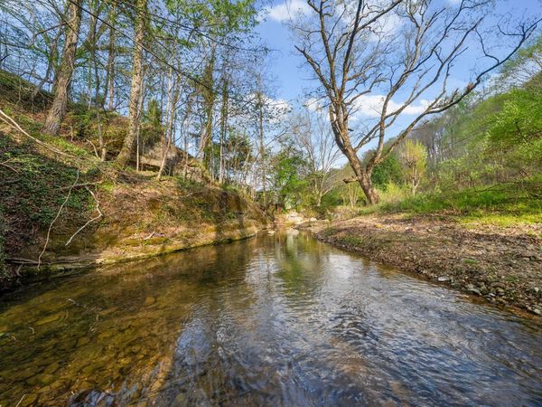 1 Bud Parker Lane , Erin, TN 37061