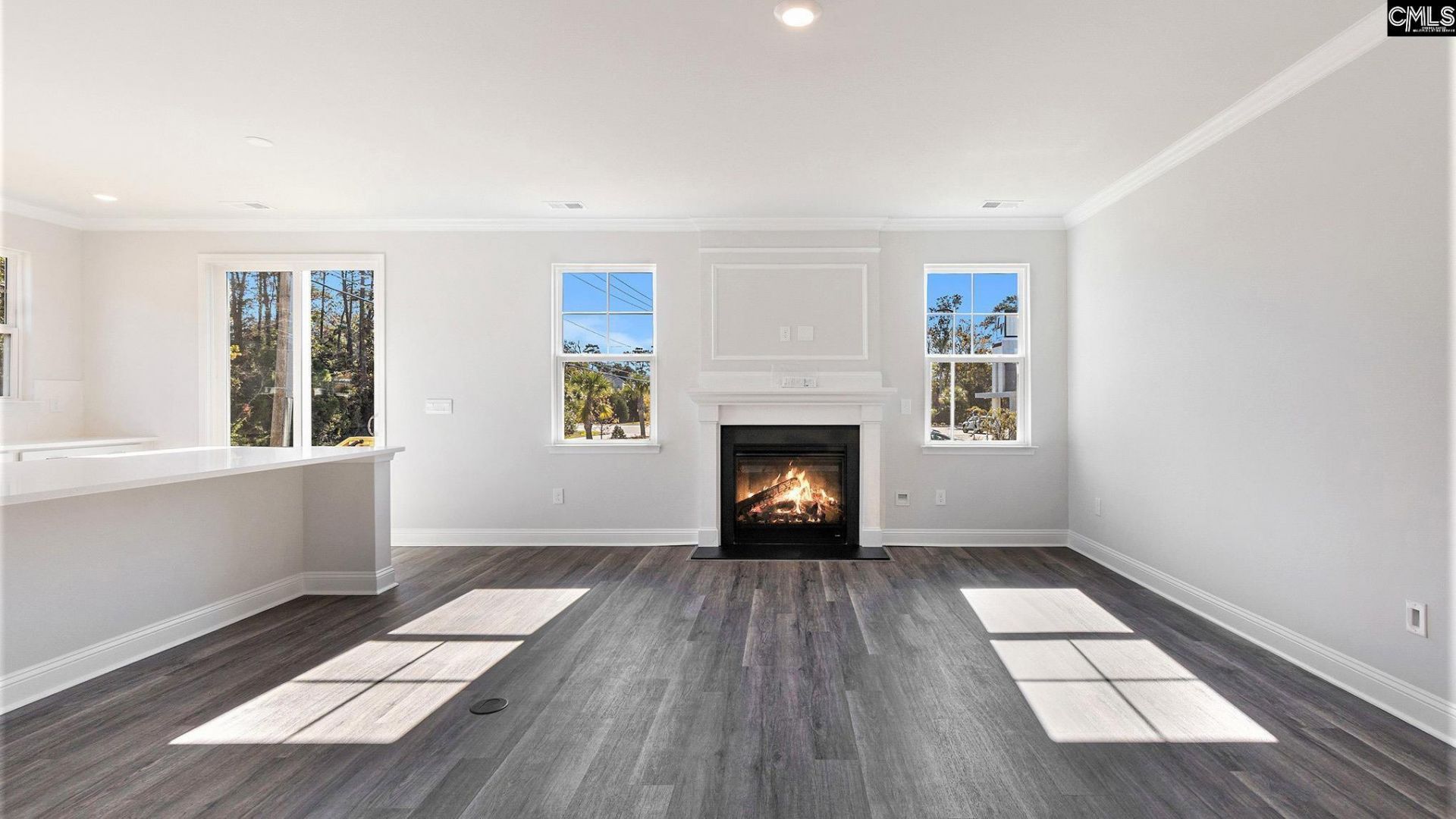 271 Livingston Woods Drive Photo 9