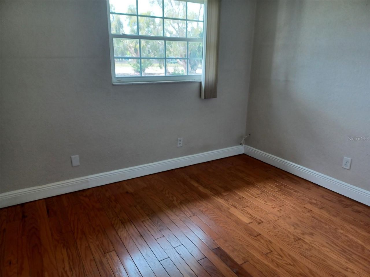 7001 18th Street N, Saint Petersburg, FL 33702 Photo