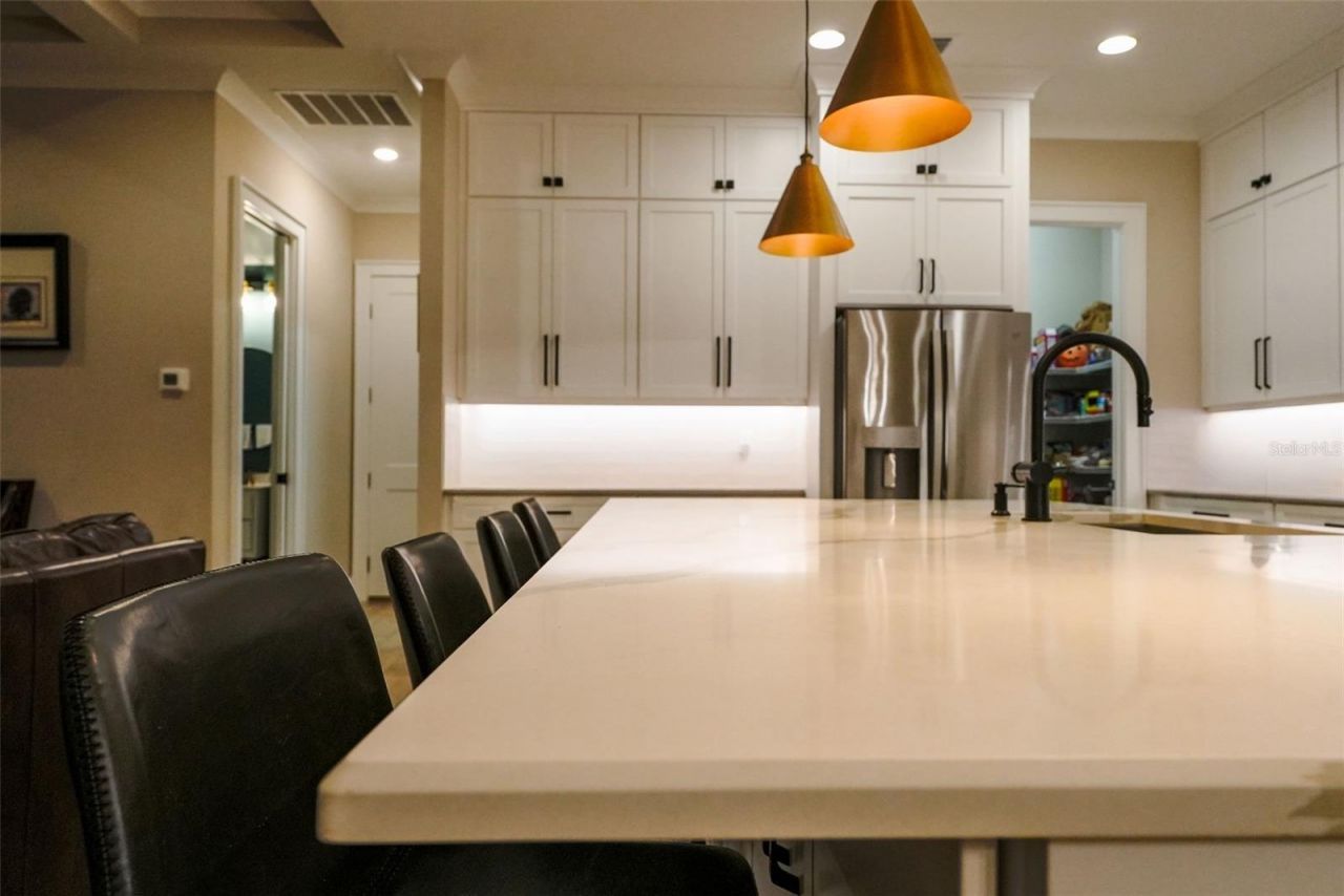 2890 Alexandria Marie Lane, Lutz, FL 33559 Photo