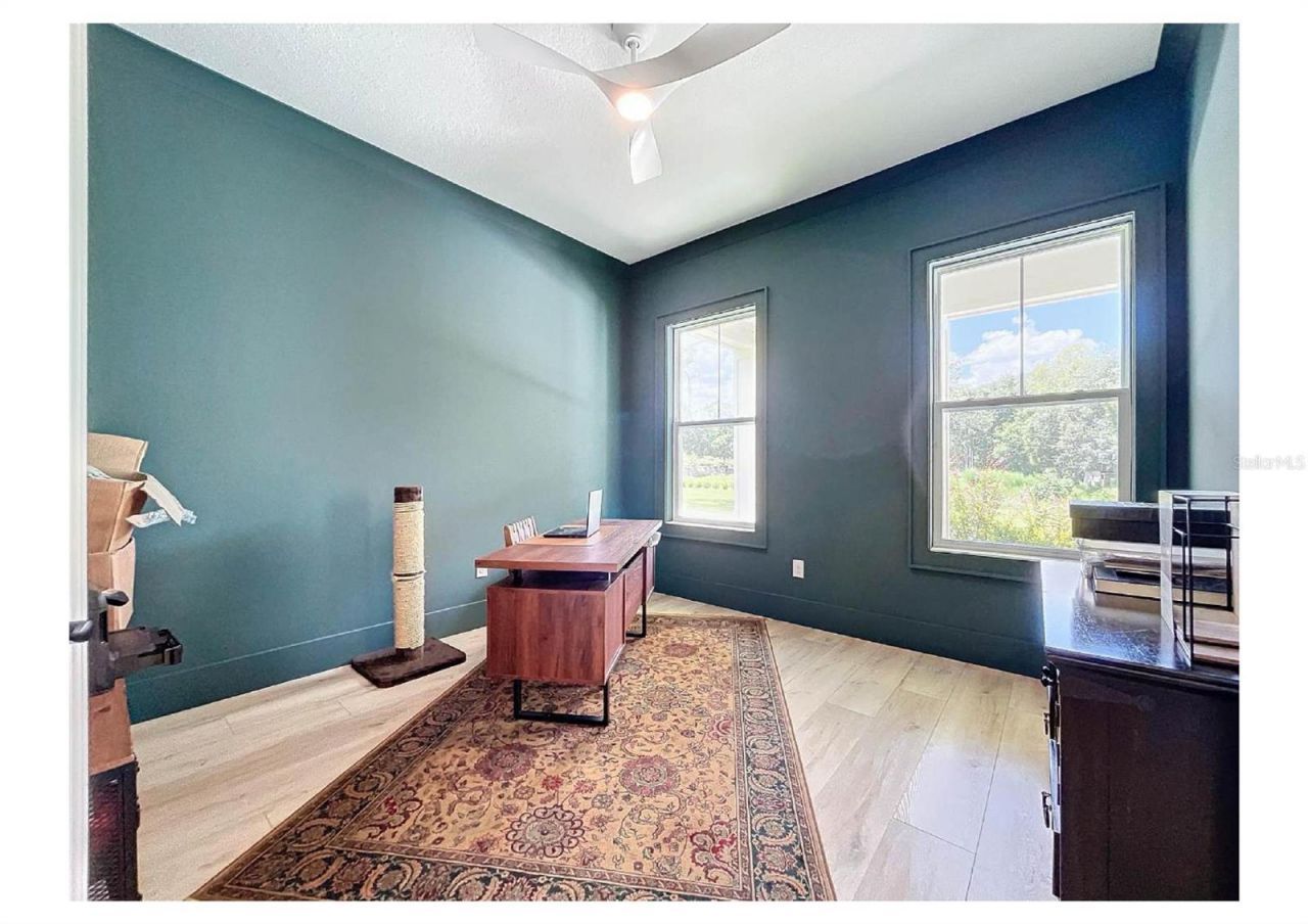 2890 Alexandria Marie Lane, Lutz, FL 33559 Photo