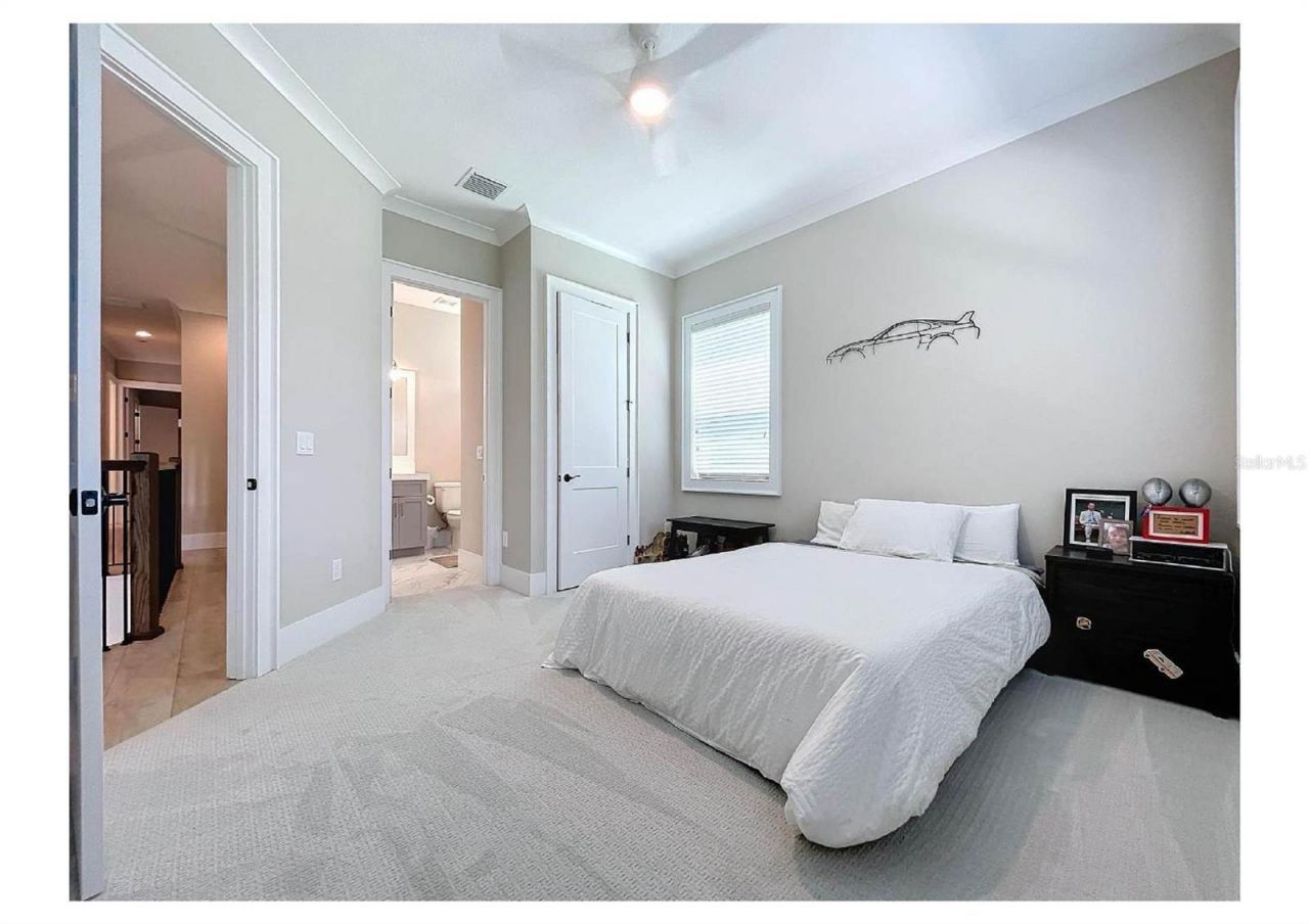 2890 Alexandria Marie Lane, Lutz, FL 33559 Photo