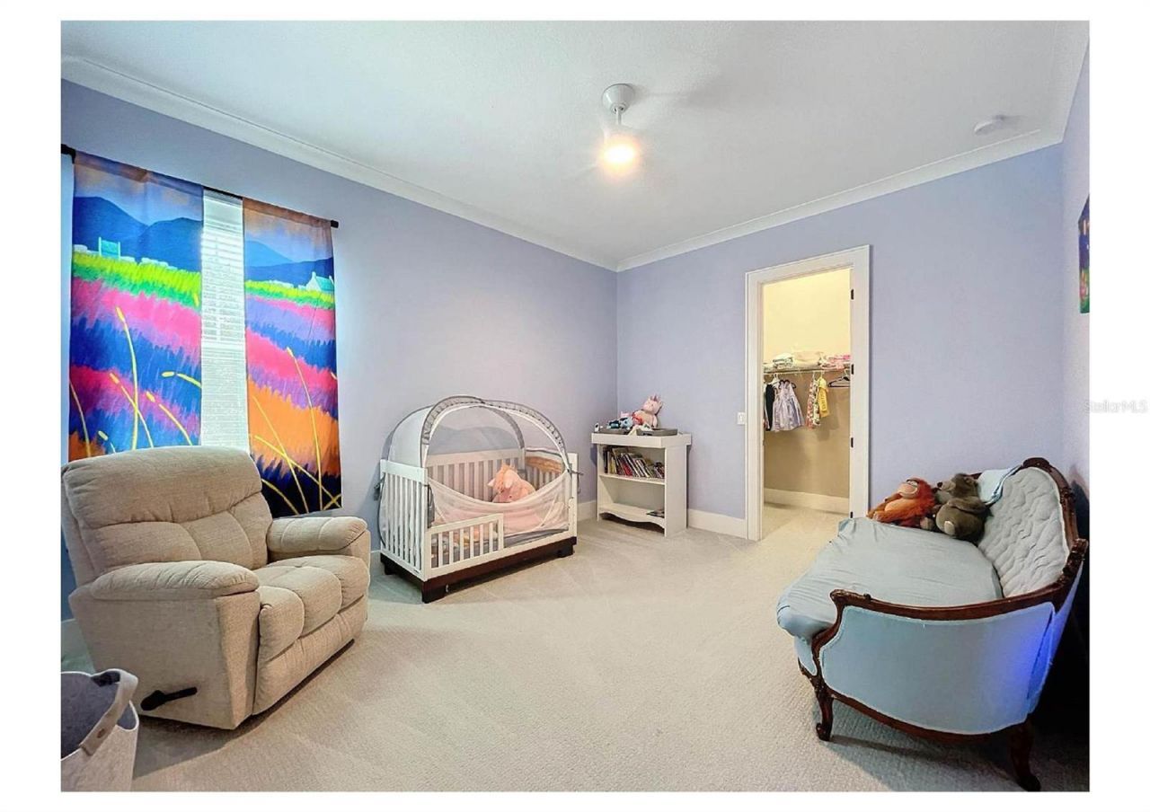 2890 Alexandria Marie Lane, Lutz, FL 33559 Photo