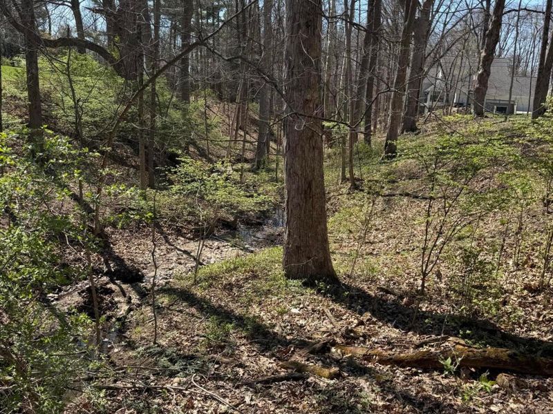 Delaware, OH 43015 Photo 14