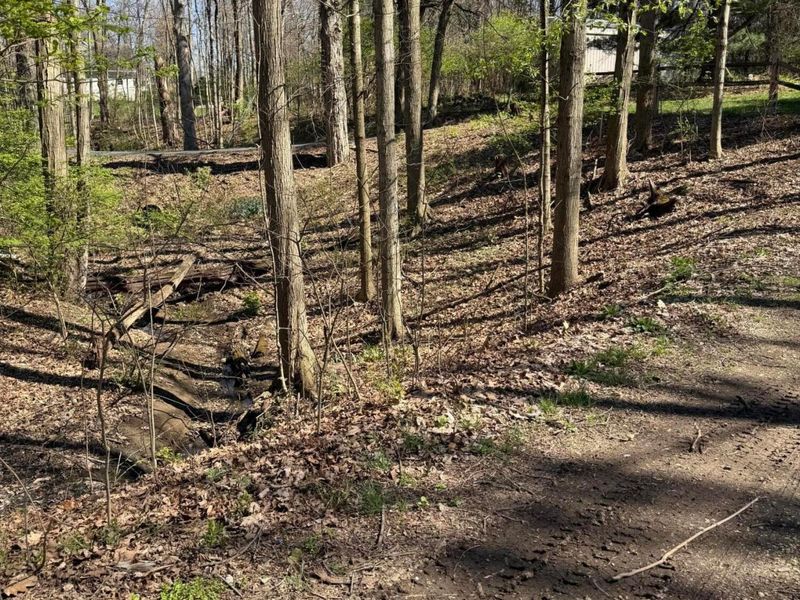 Delaware, OH 43015 Photo 18