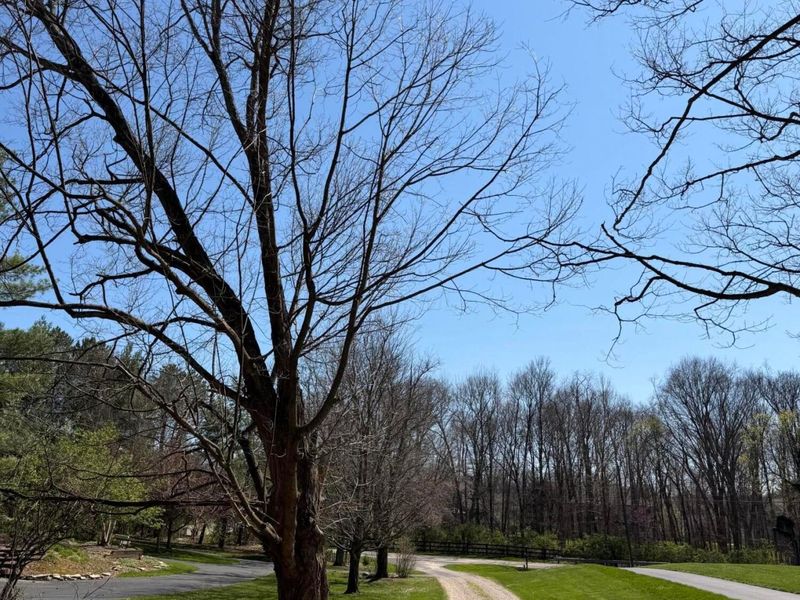 Delaware, OH 43015 Photo 19