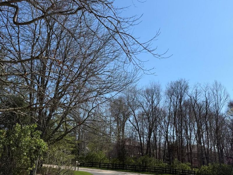 Delaware, OH 43015 Photo 20