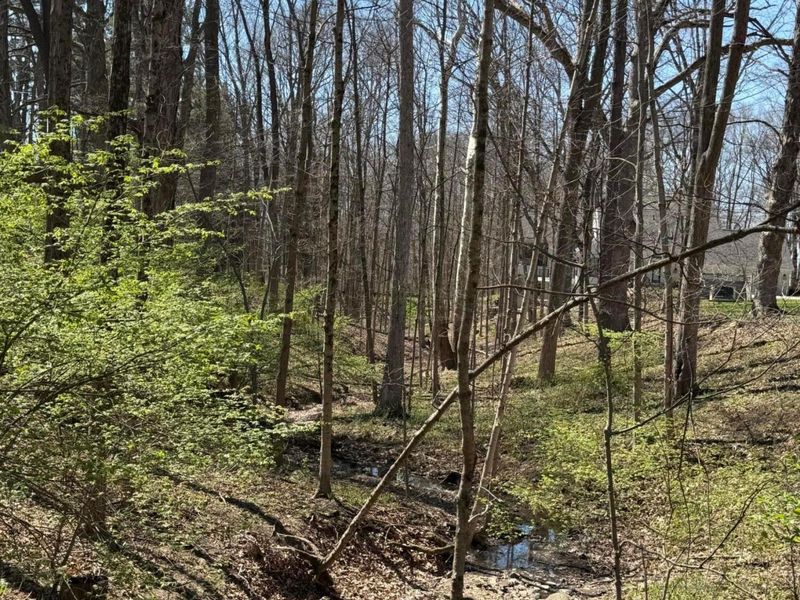 Delaware, OH 43015 Photo 4