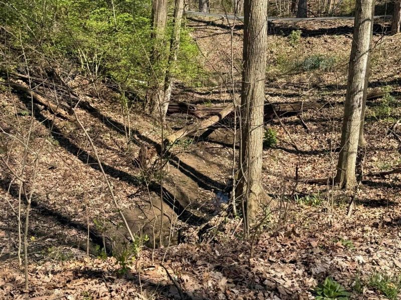 Delaware, OH 43015 Photo 5