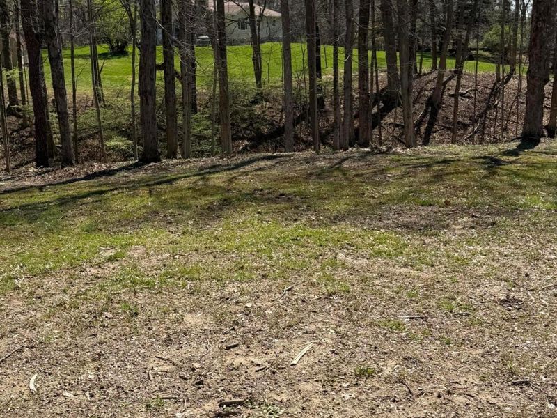 Delaware, OH 43015 Photo 7