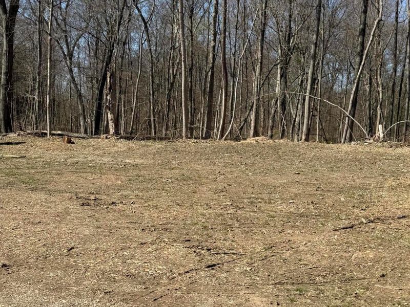 Delaware, OH 43015 Photo 9