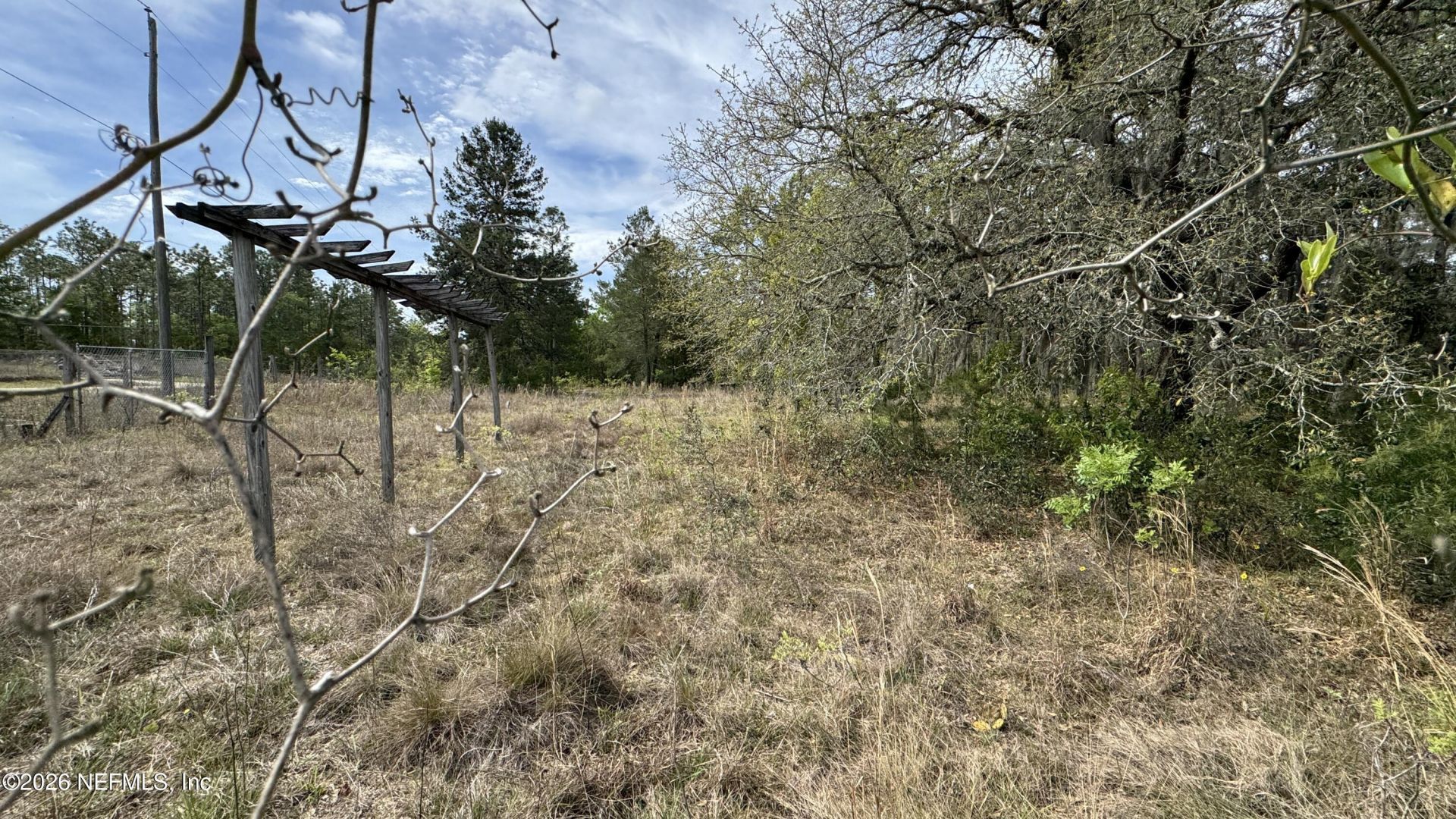 00 State Rd 20, Interlachen, FL 32148 Photo