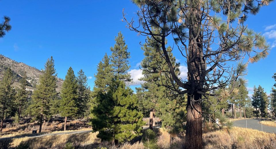 160 Walton Toll Road, Lot #184, Carson City, NV 89705 Photo