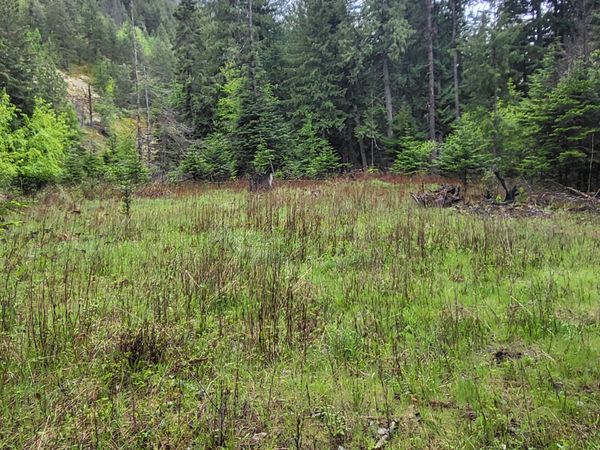 NNA Silver Ave, Bayview, ID 83803